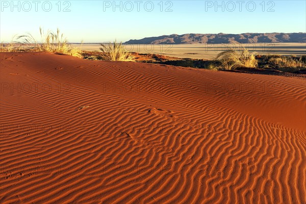 Southern foothills of the Namib desert