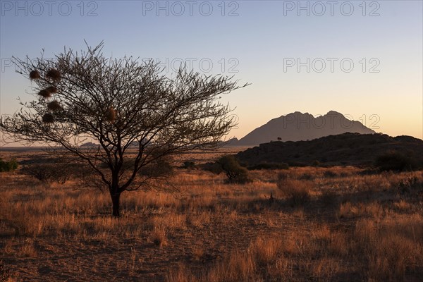 Evening light at Spitzkoppe