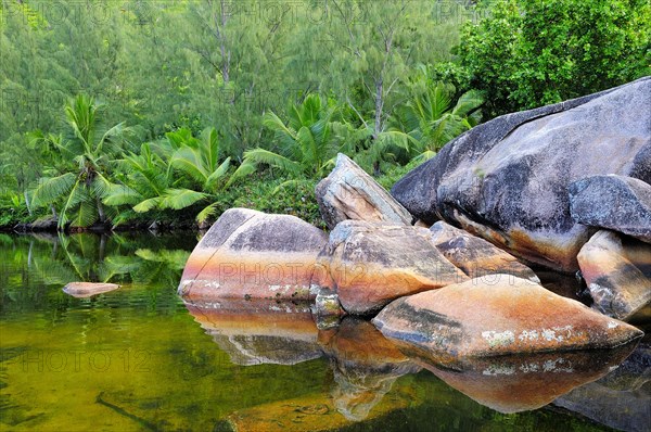 Rocks in the lagoon