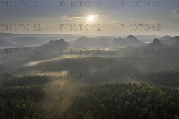 Fog at sunrise