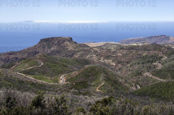 View from the summit of Garajonay on charred shrubs