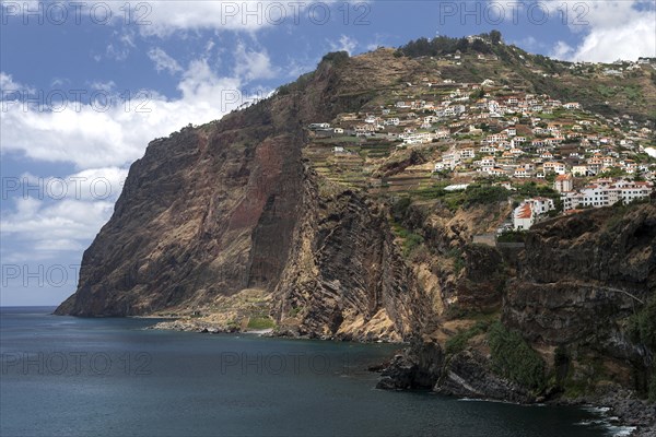 Cliffs of Cabo Girao
