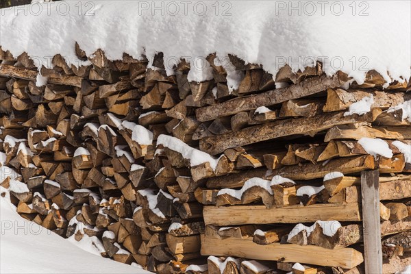Pile of wood with snow