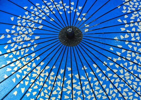 Traditional blue oil paper umbrella