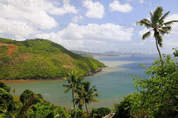 Coastline at the Baie de Tsingoni