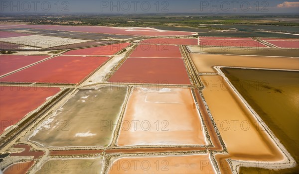 Salines