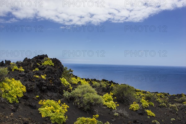 Volcano landschaft