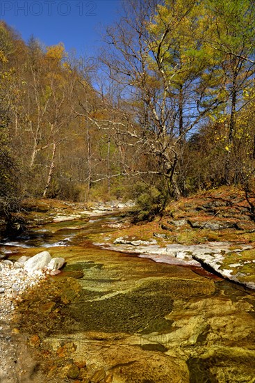 Ferruginous river in the Zhouzi Nature Reserve