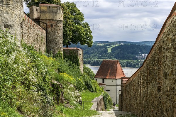 Ludwigssteig trail