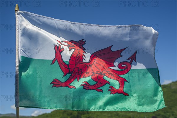 Flag of Wales