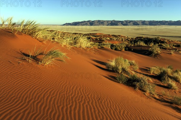 Southern foothills of the Namib desert