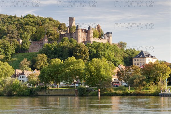 Wertheim castle