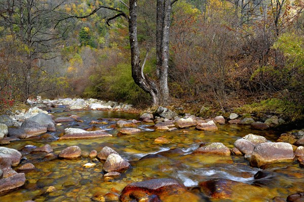 Ferruginous river in the Zhouzi Nature Reserve