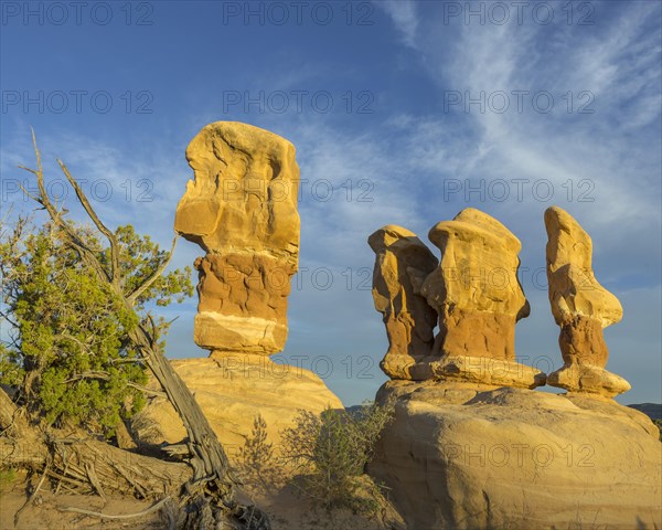 Rock formations in Devil's Garden