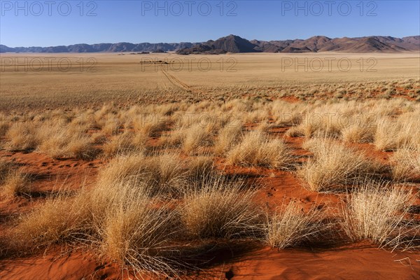 Steppe landscape in the southern foothills of the Namib Desert