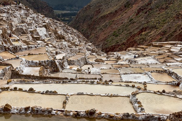 Salt mines of Maras