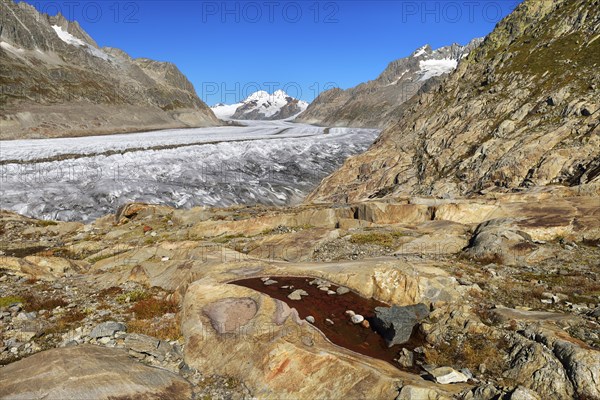 Great Aletsch Glacier