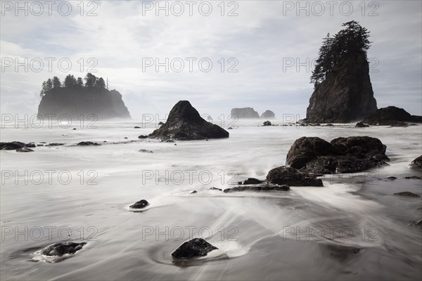 Sea stack on Second Beach in Olympic National Park