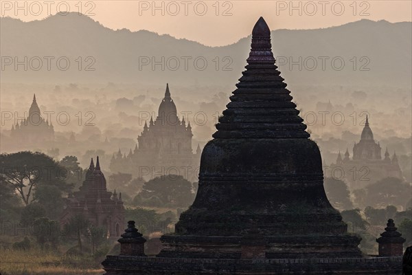 Pagoda field in the morning mist