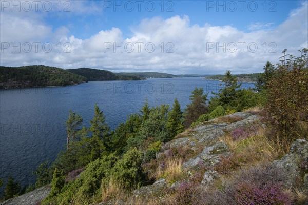 Islands in an archipelago