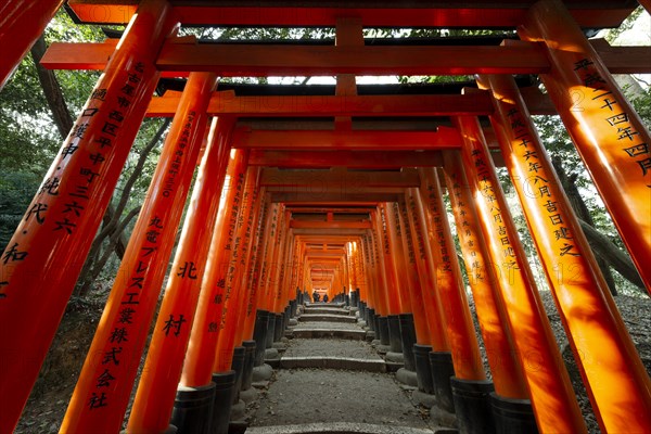 Fushimi Inari Taisha