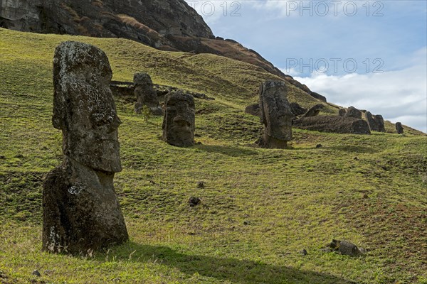 Group of Moai statues