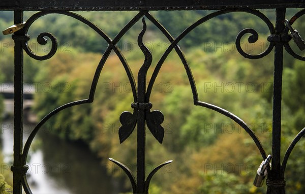 Wrought-iron gate in front of autumn forest