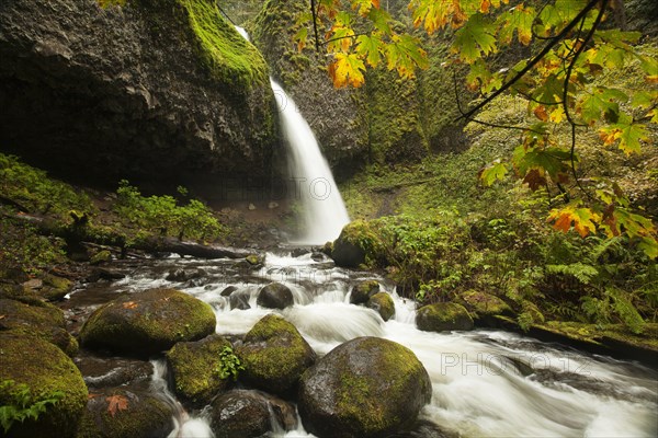 Ponytail Falls