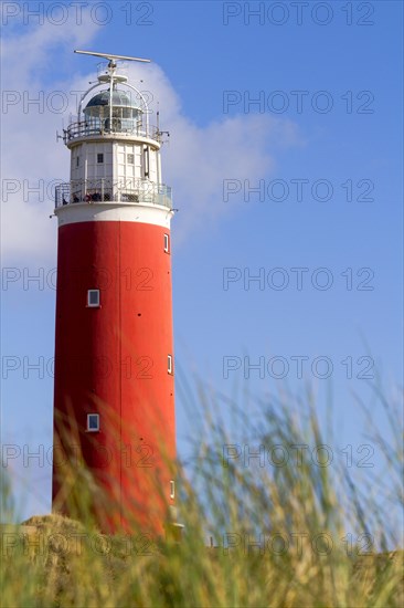 Eierland Lighthouse with dunes