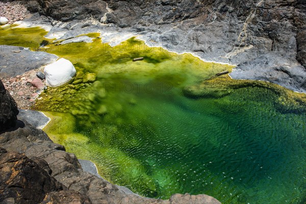 Green pond in a valley at the Dixsam plateau