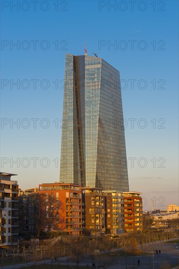 The new European Central Bank