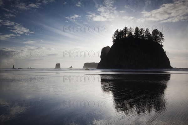 Sea stack on Second Beach in Olympic National Park