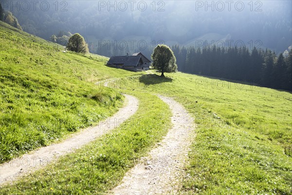 Gross Euchst Alm