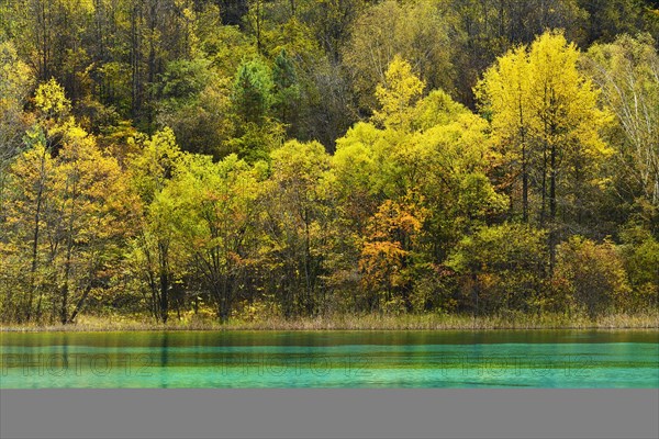 Five Flower Lake in autumnal environment