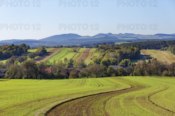 Landscape with fields