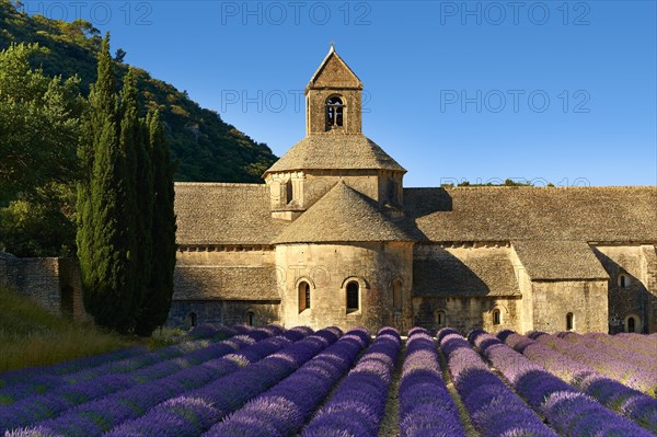 The Romanesque Cistercian Abbey of Notre Dame of Senanque