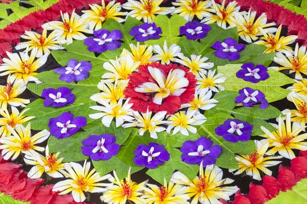 Arrangement of petals and leaves floating in a basin of water