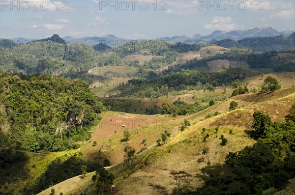 Harvested fields