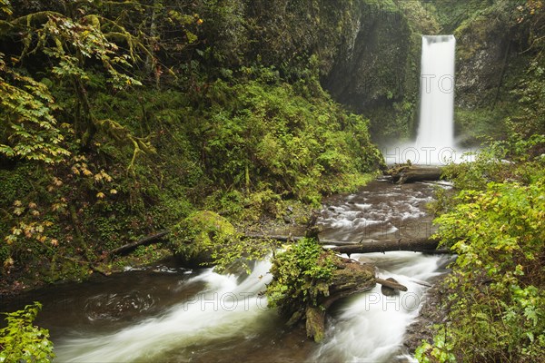 Waterfall Wiesendanger Falls in the Columbia River Gorge