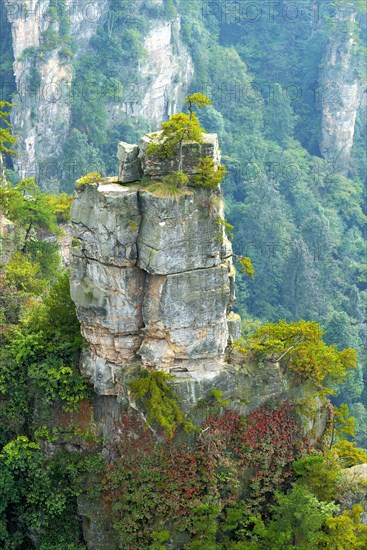 Tianzishan mountain with vertical rock columns of quartz sandstone