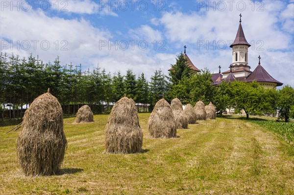 Haystacks in front of Voronet Monastery