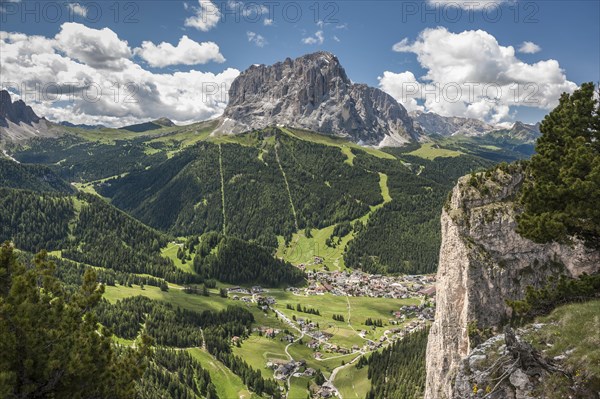 View from the Stevia massif