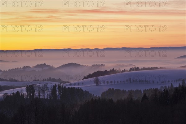 Sunset view from the Black Forest road to Glottertal