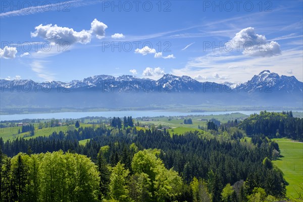 View from the book at Zwieselberg mountain