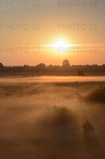 Sunrise in Recker Moor with ground fog