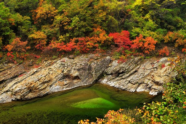 Black River in autumn landscape