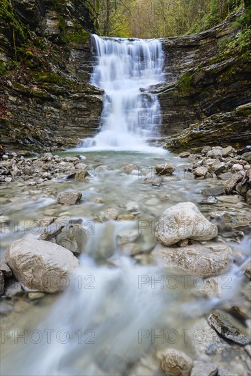 Taugl stream with waterfall