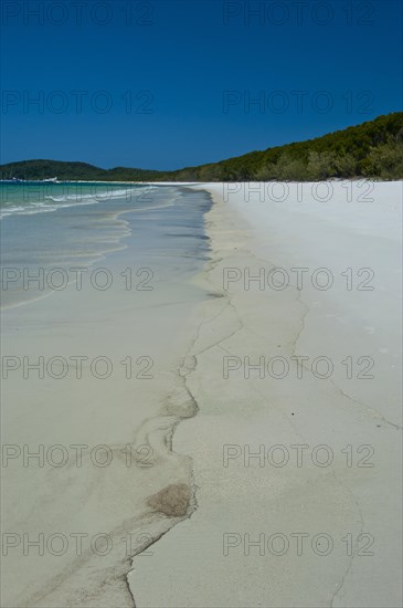 Whitehaven beach in the Whitsunday Islands