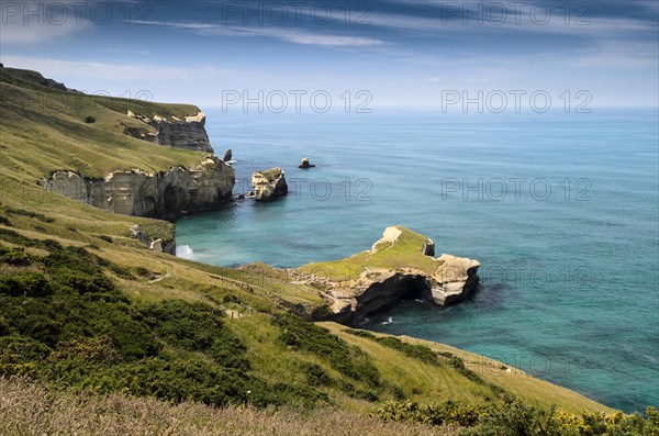 Rocky cliffs on the Pacific coast at Tunnel Beach