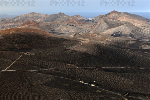 View from the Montana de Guardilama range south on the wine growing region of La Geria